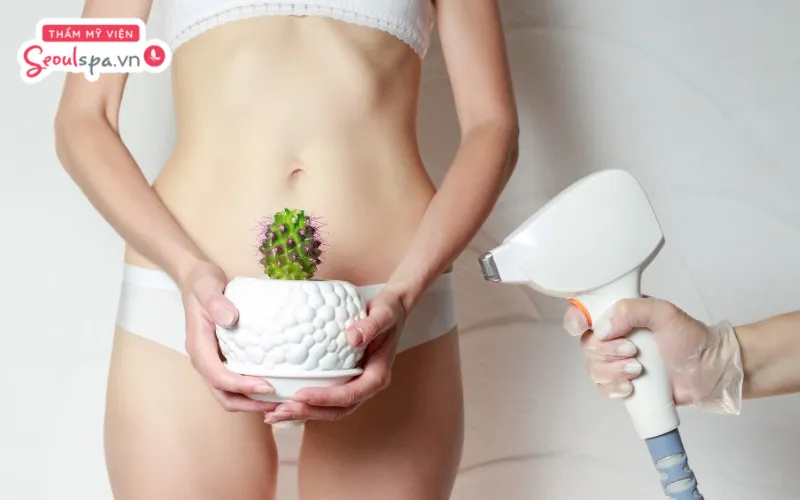 Triệt lông bikini mấy lần thì hết vĩnh viễn còn tùy thuộc vào cơ địa cũng như công nghệ thực hiện