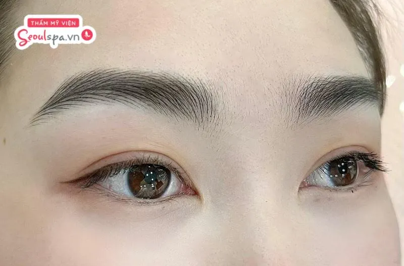 Chân mày sẽ bắt đầu ổn định và lên màu chuẩn đẹp sau khoảng 1 tháng phun xăm nếu thực hiện chăm sóc mày đúng cách