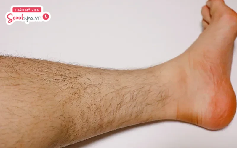 Sức khỏe và tuổi tác cũng là hai yếu tố quan trọng ảnh hưởng đến chu kỳ rụng lông trên cơ thể