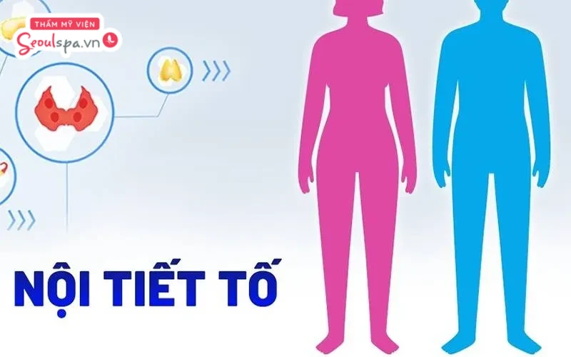 Rối loạn nội tiết tố cũng có thể ảnh hưởng đến chu kỳ mọc lông chân