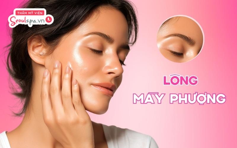 Chân mày phượng hoàng là dáng mày đẹp và được đánh giá cao về tính thẩm mỹ lẫn tướng số