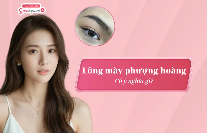 Lông mày phượng hoàng là gì? Có ý nghĩa gì?