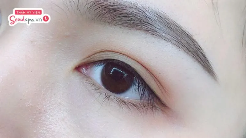 Phun mí mở tròng có già không còn tùy thuộc vào kiểu phun mí cũng như trình độ tay nghề của người thực hiện