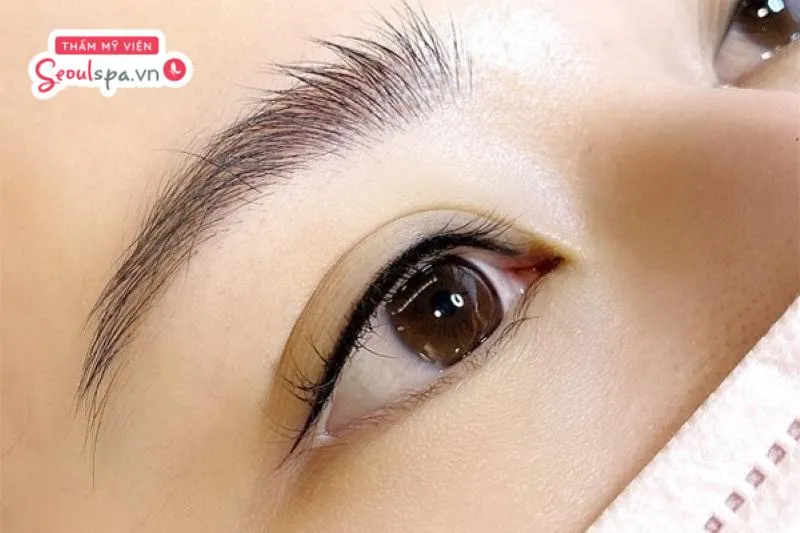 Phun xăm mí mắt trở thành lựa chọn lý tưởng cho những ai muốn sở hữu đôi mắt đẹp tinh tế mà không cần mất thời gian trang điểm