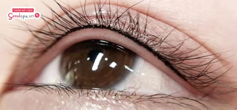 Phun mí mở tròng là kỹ thuật phun xăm mí mắt hiện đại giúp tạo đường viền mí mềm mại, nhẹ nhàng và tạo chiều sâu cho mắt