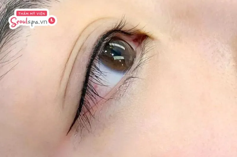 Phun mí vi chạm là kỹ thuật phun xăm hiện đại sử dụng đầu kim nano để định hình dáng mí trẻ trung hơn