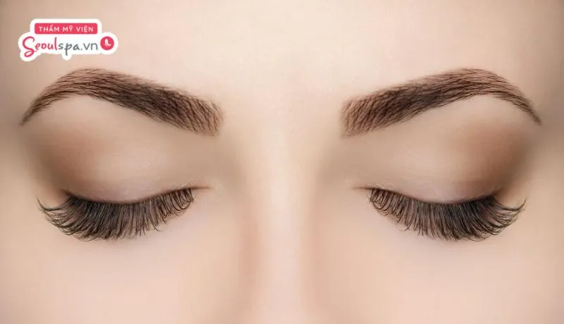 Chân mày gấp khúc là dáng mày chữ V úp ngược phù hợp với người theo đuổi  phong cách sắc sảo và quyến rũ