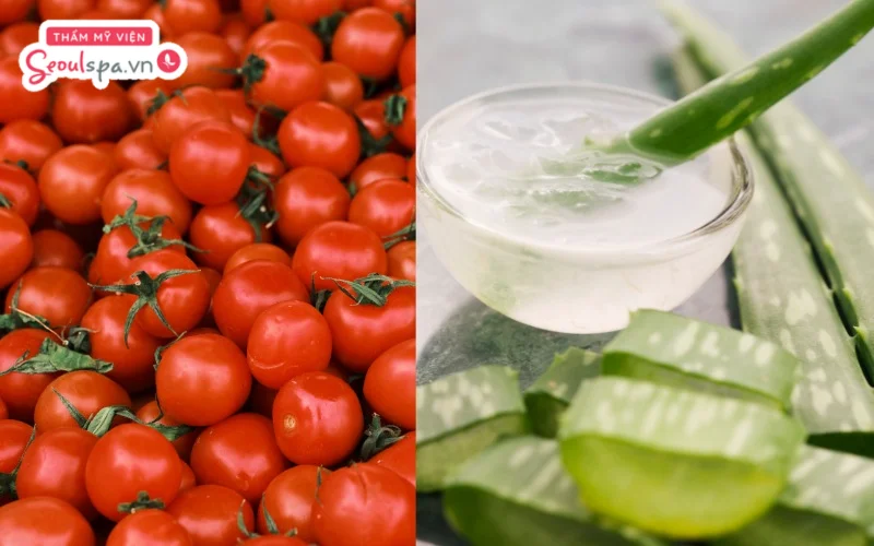 Kết hợp cà chua và gel nha đam theo đúng tỷ lệ sẽ tạo thành hỗn hợp loại bỏ lông ria mép an toàn tại nhà