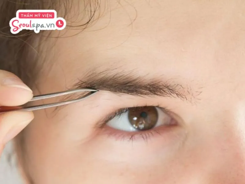 Thói quen nhổ lông mày thường xuyên có thể khiến nang lông tổn thương và dễ tiềm ẩn nguy cơ lông mày khó mọc lại
