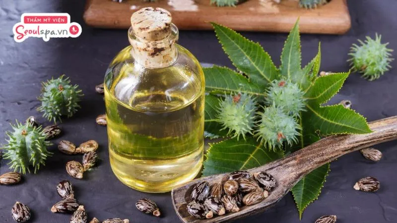 Dưỡng lông mày bằng dầu thầu dầu là cách kích thích nang lông phát triển tốt hơn và tăng cường độ ẩm cho chân mày hiệu quả