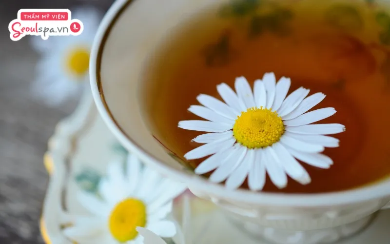 Sử dụng trà hoa cúc là cách tẩy lông vùng kín cho bà bầu an toàn khi mang thai được nhiều người đánh giá cao