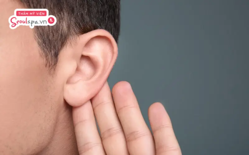 Người có tai cao với dáng tai to, đầy đặn thường dễ gặp may mắn và được quý nhân giúp đỡ trong cuộc sống 