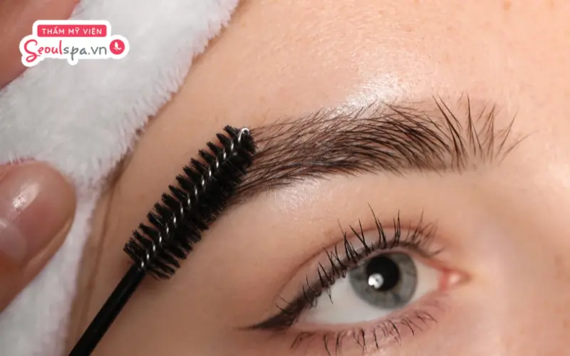 Chải lông mày thường xuyên không chỉ giúp các sợi lông mày vào nếp mà còn ngăn ngừa nguy cơ mọc rối
