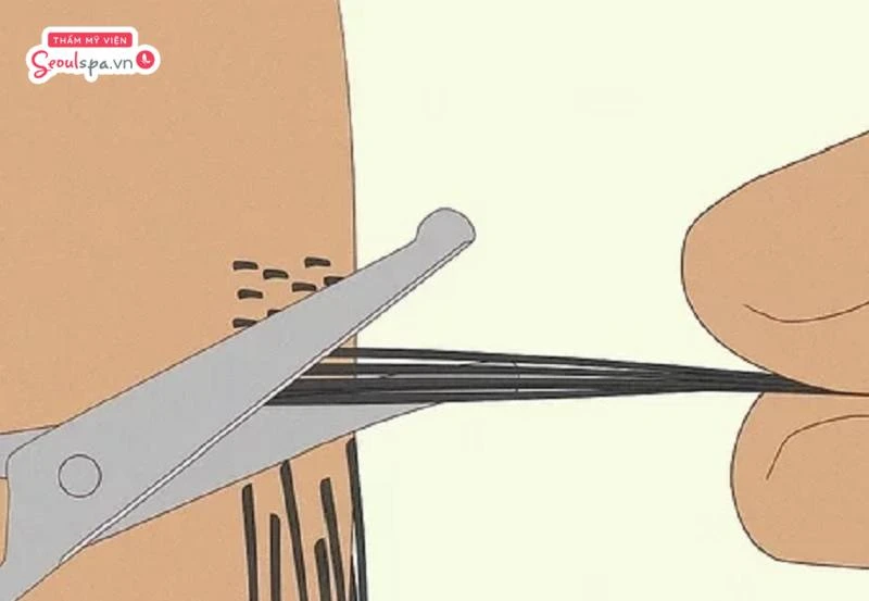 Tránh cắt tỉa lông vùng kín quá sát chân gốc vì dễ gây đâm chọt, ngứa ngáy và gia tăng nguy cơ lông mọc ngược