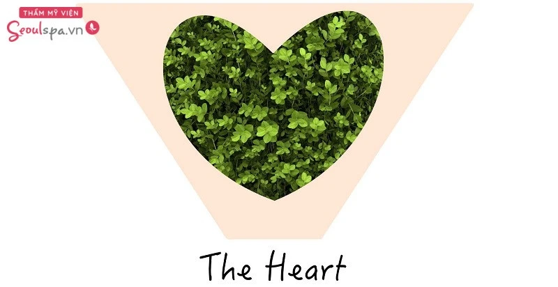 Lựa chọn triệt lông vùng kín hình trái tim khá phổ biến