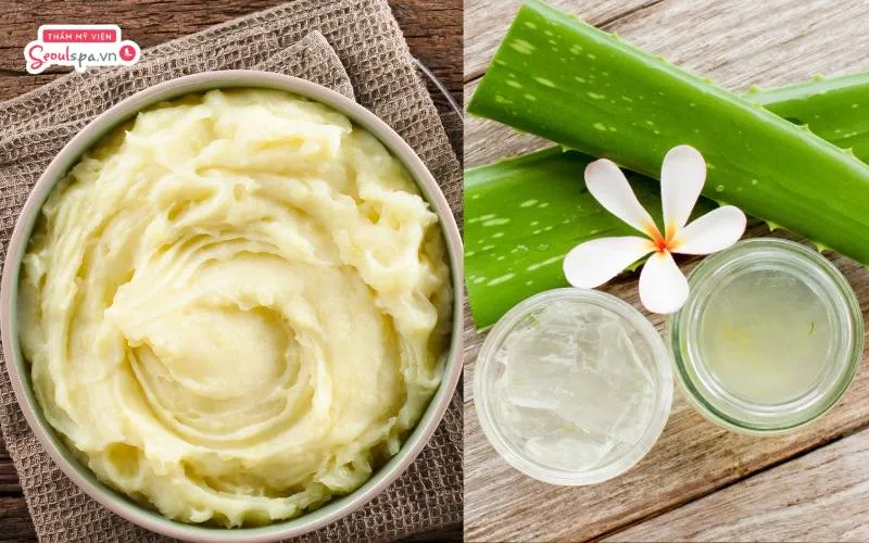 Hỗn hợp khoai tây và nha đam là cách triệt lông chân tại nhà giúp tăng cường dưỡng ẩm và tẩy tế bào chết da tối ưu