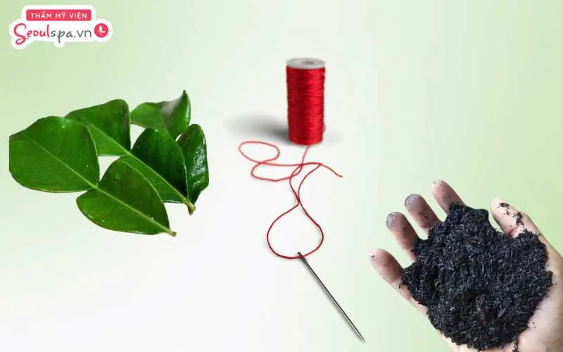 Kết hợp tro, lá bưởi được hơ nóng có thể giúp làm mềm nang lông và gia tăng hiệu quả loại bỏ lông