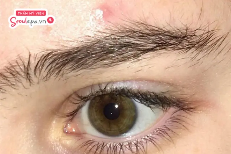 Lông mày chỉ dựng đứng một nửa và có xu hướng xoắn vào nhau là một trong những dáng mày dựng phổ biến