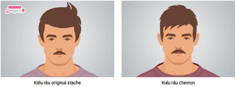 Kiểu râu original stache và chevron
