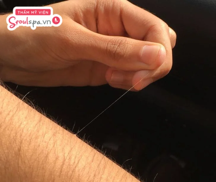 Người có lông tài ở đùi thường là người thông minh, kiên trì, có sự nghiệp  thăng tiến nhưng tài vận thường đến chậm