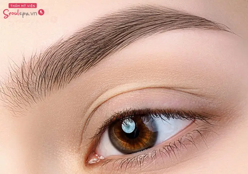 Lông tài ở chân mày báo hiệu tài lộc đang đến gần