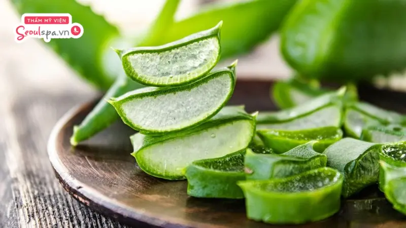 Nha đam có khả năng tạo điều kiện thuận lợi cho lông mày phát triển khỏe mạnh.