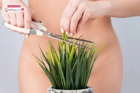 Cắt tỉa lông vùng kín là giải pháp giúp loại bỏ lông vùng kín trong những ngày đèn đỏ hiệu quả