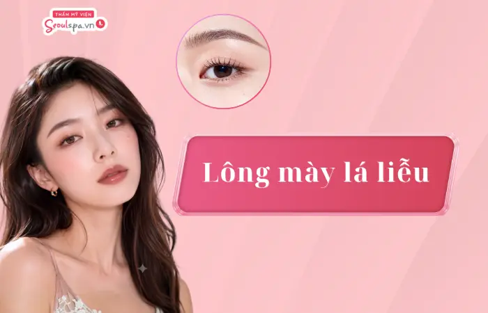 Lông mày lá liễu là gì? Ý nghĩa nhân tướng học