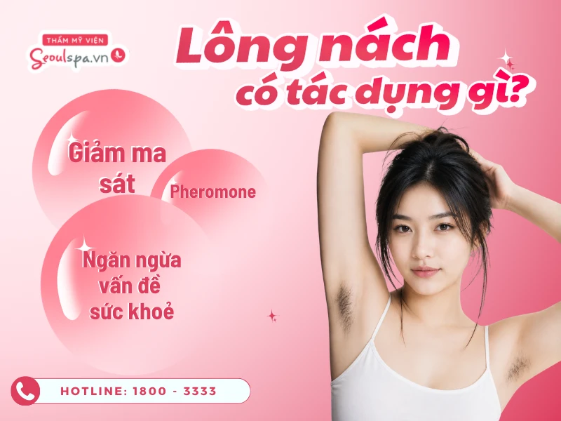 Lông nách có tác dụng gì