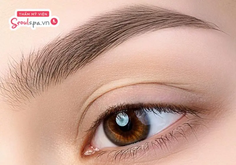 Chân mày màu nâu tây mang đến vẻ đẹp thanh lịch, trẻ trung, phù hợp với nhiều tông da và phong cách trang điểm.
