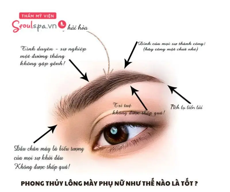 Lựa chọn màu điêu khắc chân mày phù hợp với phong thủy được nhiều người tin rằng có thể góp phần mang lại may mắn về vận khí và tài lộc.