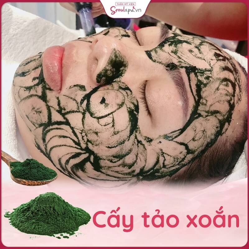 Thay da sinh học trẻ hóa làn da ngăn ngừa lão hóa bằng dịch vụ cấy tảo xoắn tại Thẩm mỹ viện Seoul Spa