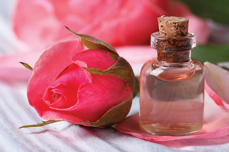 Nước hoa hồng có tác dụng làm dịu mát da, giảm cảm giác ngứa ngáy, thu nhỏ lỗ chân lông