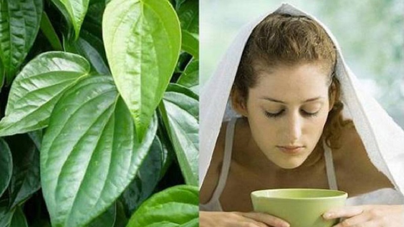 Xông mặt giúp da thẩm thấu hết dưỡng chất bên trong lá trầu