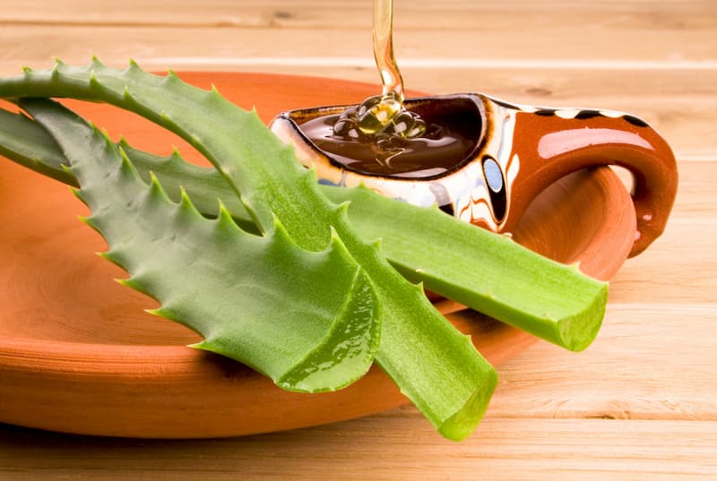 Phương pháp trị thâm mụn chỉ với mật ong và nha đam
