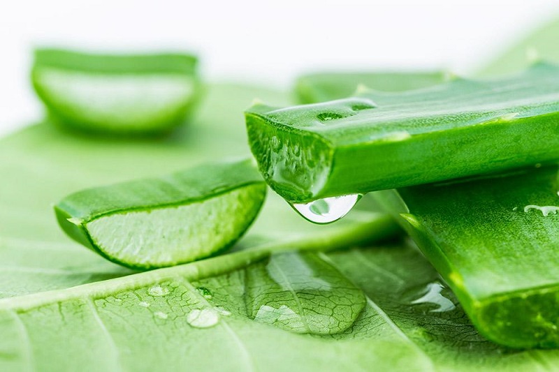 Nha đam có tác dụng dưỡng da và điều trị mụn rất tốt