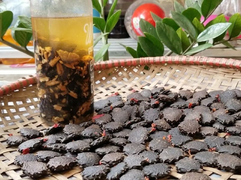 Top 20+ Công Dụng Của Hạt Gấc Trong Làm Đẹp Tổng hợp cách dùng hạt gấc ngâm trị nám hiệu quả 32 Hạt gấc sau khi phơi khô và nướng chín có màu đen