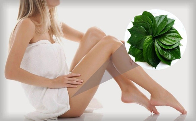 Lá trầu không giúp cô bé trở nên hồng hào tự nhiên