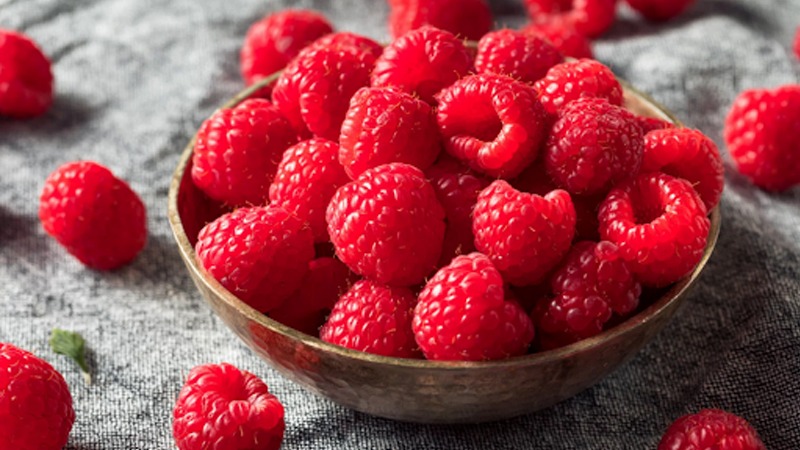 Quả mâm xôi có tác dụng kích thích sản sinh collagen