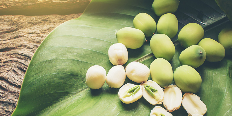 Hạt sen cùng các lợi ích dành cho phụ nữ mang thai