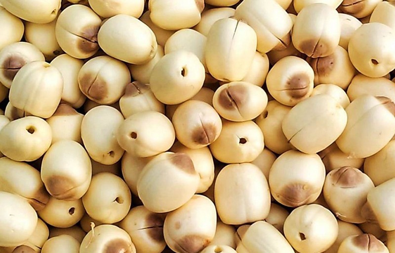 Đối với sen khô bạn cần giữ sản phẩm luôn khô thoáng