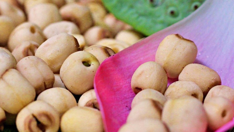 Hạt sen cung cấp nhiều năng lượng cho cơ thể