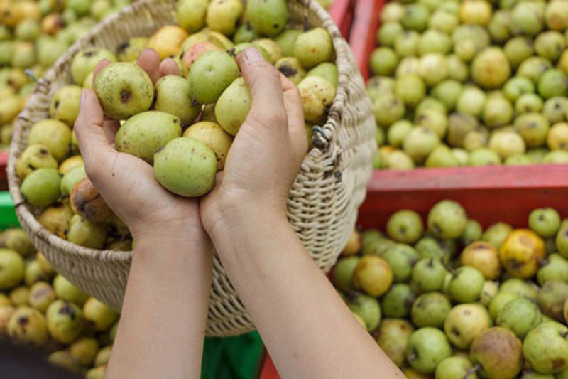 Nhiều chị em lựa chọn giấm táo mèo để giảm cân