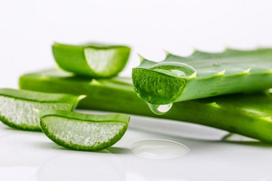 Nha đam rất được ưa chuộng trong việc điều trị mụn cám