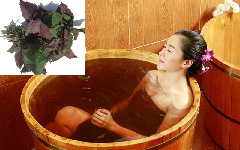 Tắm trắng với lá tía tô thực hiện vô cùng đơn giản tại nhà