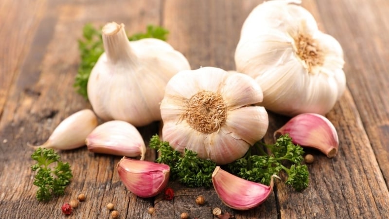 Tổng hợp những cách trị mụn cóc tại nhà bằng tỏi