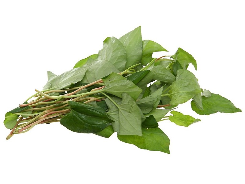 Sử dụng rau diếp cá để điều trị mụn mủ sưng to