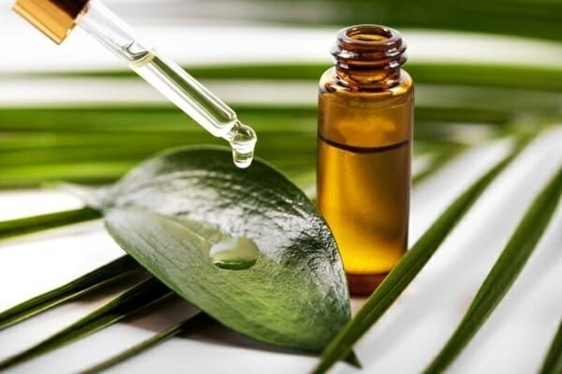 Kết hợp tinh dầu tràm trà với dầu oliu để điều trị mụn mủ