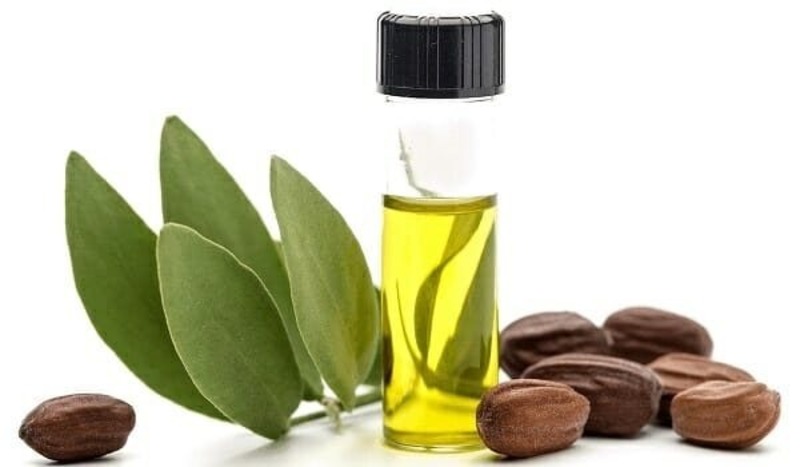 Dầu jojoba và dầu dừa có tác dụng làm mờ những nốt mụn sưng đỏ