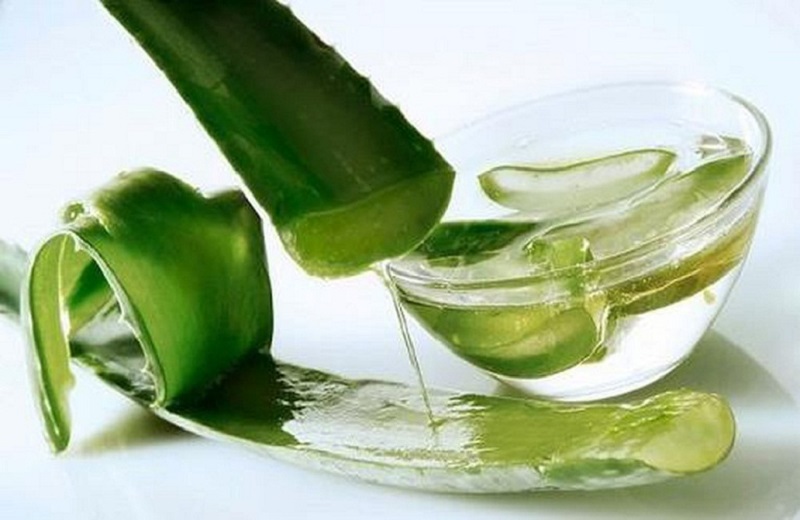 Nha đam có nhiều chất kháng khuẩn, chống viêm
